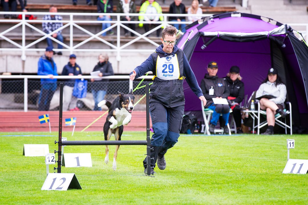 Instruktören går en rallybana med sin hund
