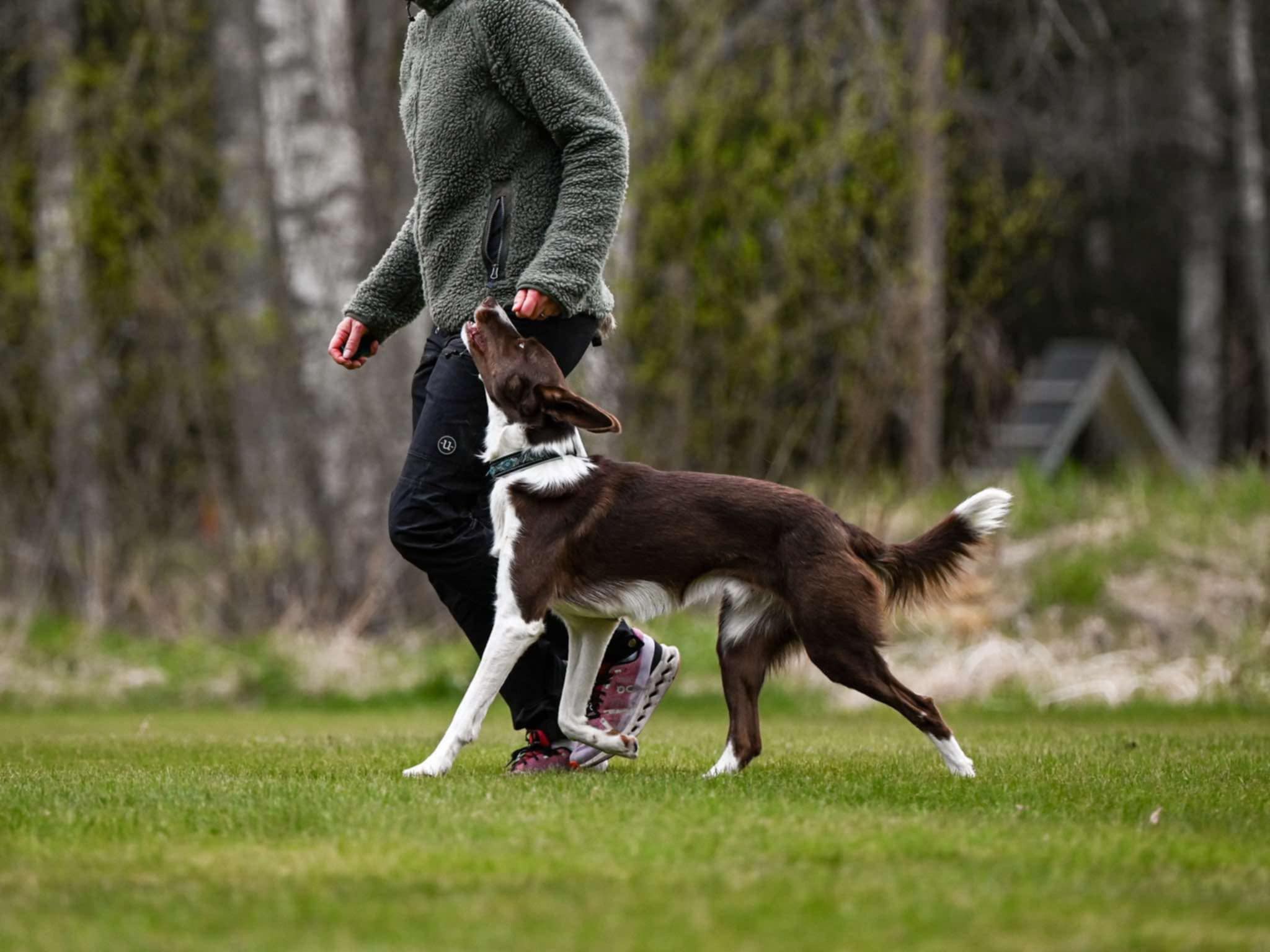 Fotograf Felicia Karlsson