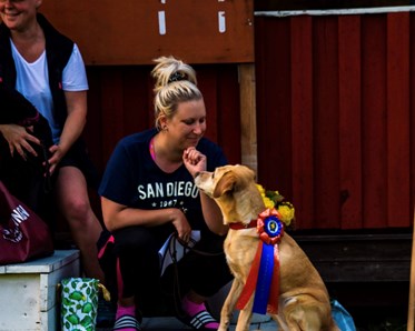 Bild på Jolin som är med i styrelsen