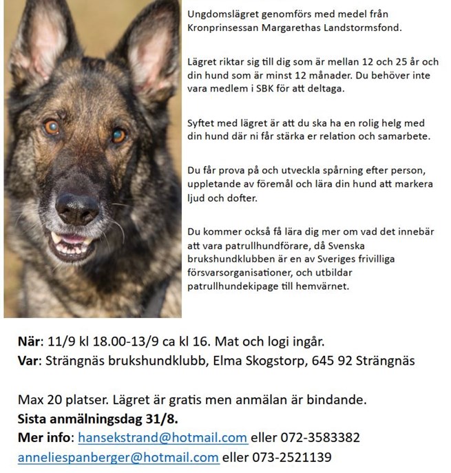 Ungdomslägret genomförs med medel från Kronprinsessan Margarethas Landstormsfond.
Lägret riktar sig till dig som är mellan 12 och 25 år och din hund som är minst 12 månader. Du behöver inte vara medlem i SBK för att deltaga. Syftet med lägret är att du ska ha en rolig helg med din hund där ni får stärka er reltion och samarbete.
Du får prova på och utveckla spårning efter person, uppletande av föremål och lära din hund att markera ljud och dofter. Du kommer också få lära dig mer om vad det innebär att vara patrullhundförare, då Svenska brukshundklubben är en av Sveriges frivilliga försvarsorganisationer, och utbildar patrullhundekipage till hemvärnet.