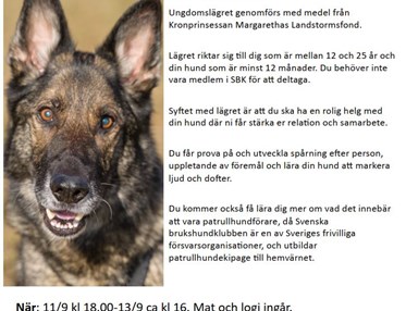 Ungdomslägret genomförs med medel från Kronprinsessan Margarethas Landstormsfond.
Lägret riktar sig till dig som är mellan 12 och 25 år och din hund som är minst 12 månader. Du behöver inte vara medlem i SBK för att deltaga. Syftet med lägret är att du ska ha en rolig helg med din hund där ni får stärka er reltion och samarbete.
Du får prova på och utveckla spårning efter person, uppletande av föremål och lära din hund att markera ljud och dofter. Du kommer också få lära dig mer om vad det innebär att vara patrullhundförare, då Svenska brukshundklubben är en av Sveriges frivilliga försvarsorganisationer, och utbildar patrullhundekipage till hemvärnet.
