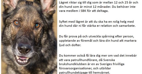 Ungdomslägret genomförs med medel från Kronprinsessan Margarethas Landstormsfond.
Lägret riktar sig till dig som är mellan 12 och 25 år och din hund som är minst 12 månader. Du behöver inte vara medlem i SBK för att deltaga. Syftet med lägret är att du ska ha en rolig helg med din hund där ni får stärka er reltion och samarbete.
Du får prova på och utveckla spårning efter person, uppletande av föremål och lära din hund att markera ljud och dofter. Du kommer också få lära dig mer om vad det innebär att vara patrullhundförare, då Svenska brukshundklubben är en av Sveriges frivilliga försvarsorganisationer, och utbildar patrullhundekipage till hemvärnet.