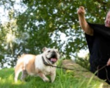 Ledamot Marita med hund