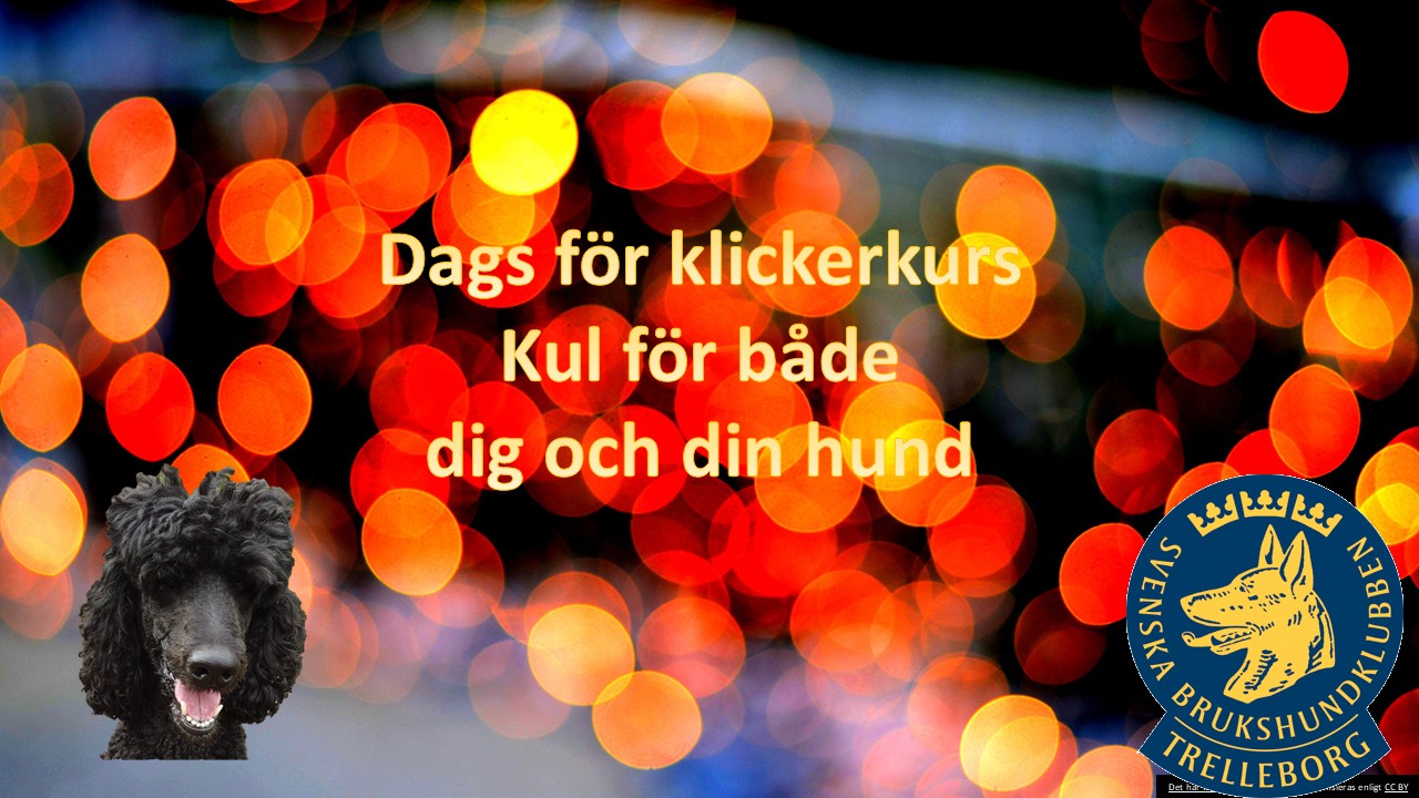 Inbjudan till Klickerkurs