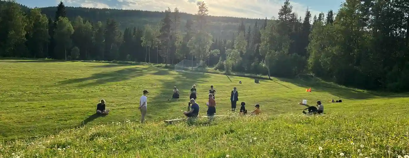 Gruppträning på lydnadsplan på sommaren.