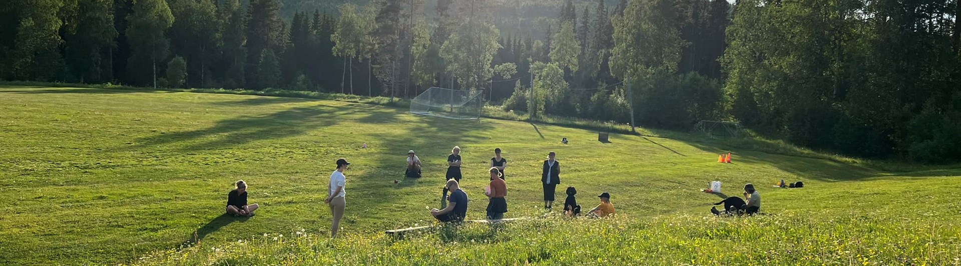 Gruppträning på lydnadsplan på sommaren.