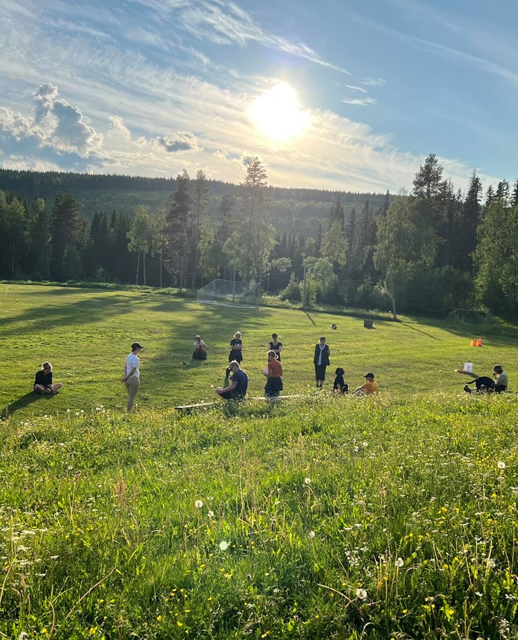 Gruppträning på lydnadsplan på sommaren.