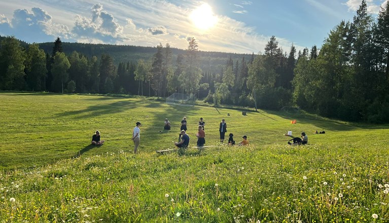 Gruppträning på lydnadsplan på sommaren.