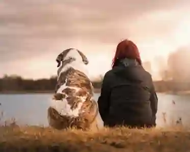 Hund och människa sitter och tittar ut över en sjö tillsammans.