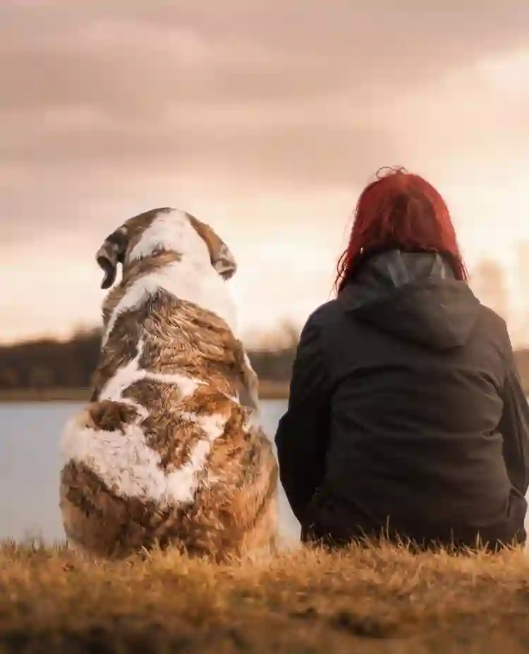 Hund och människa sitter och tittar ut över en sjö tillsammans.
