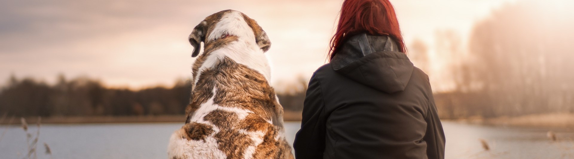 Hund och människa sitter och tittar ut över en sjö tillsammans.