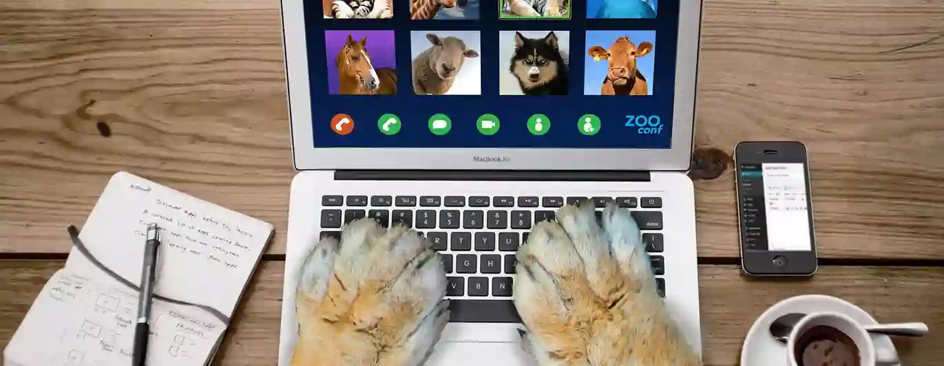 Hundtassar på tangentbord