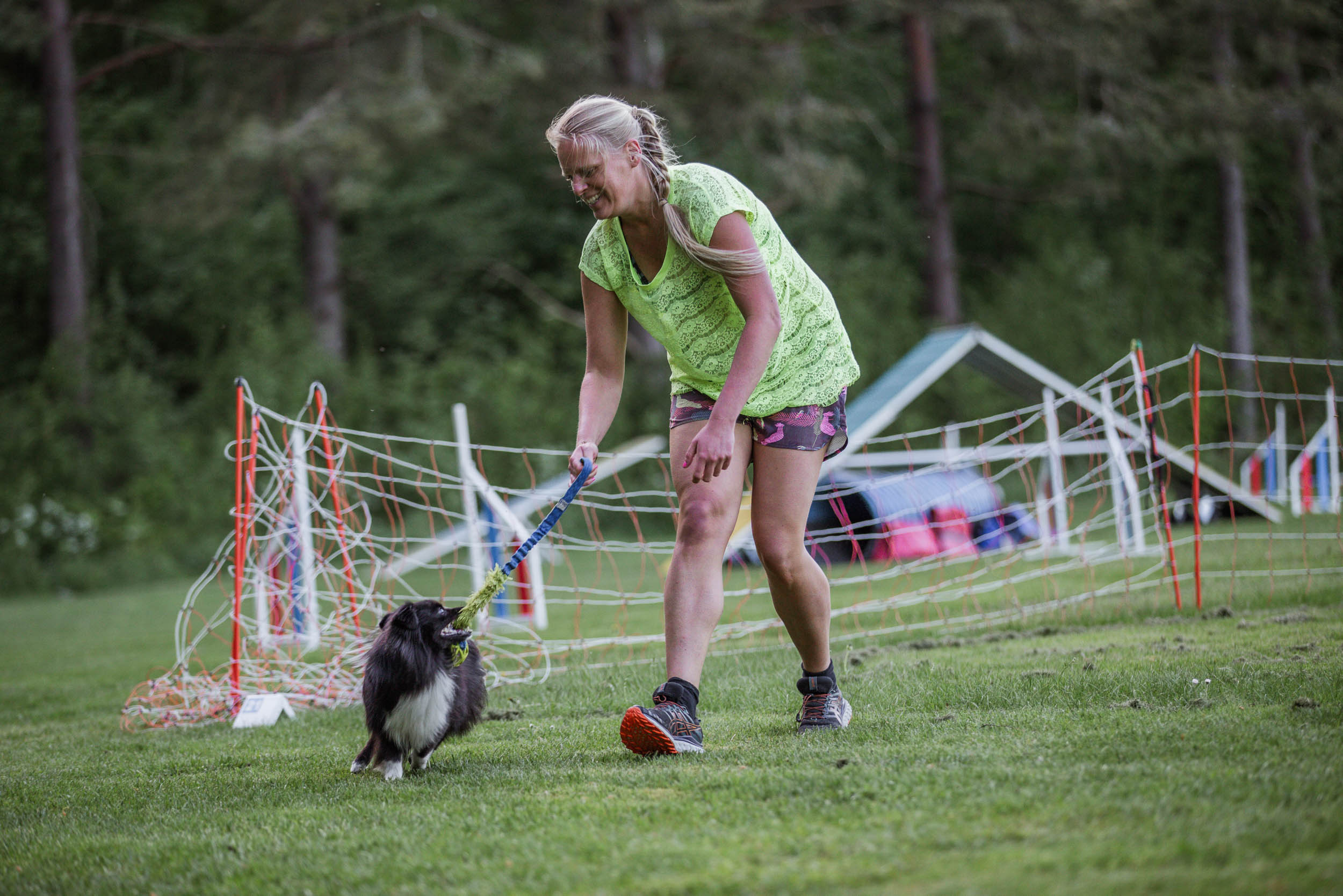  Årets Hund 2024 - Årets Hund Agility