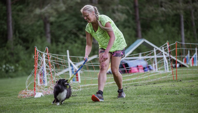 Årets Hund 2024 - Årets Hund Agility