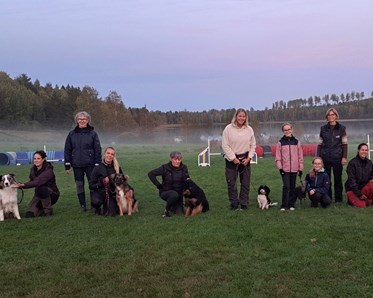 Bild på avslutningen av agility nybörjare