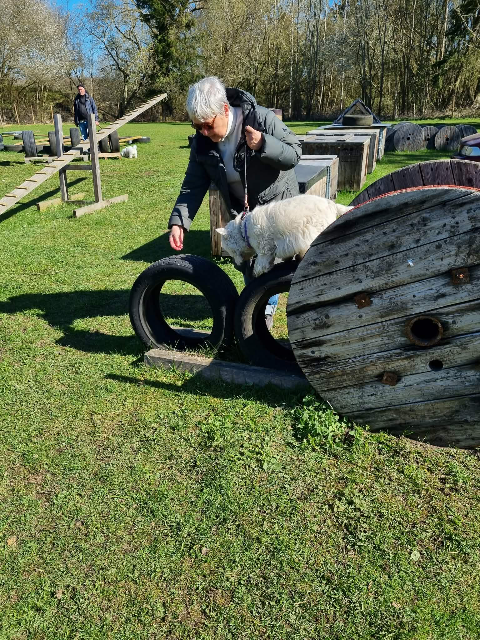 Hundförare och hund som tränar på en hinderbanan av bildäck. 