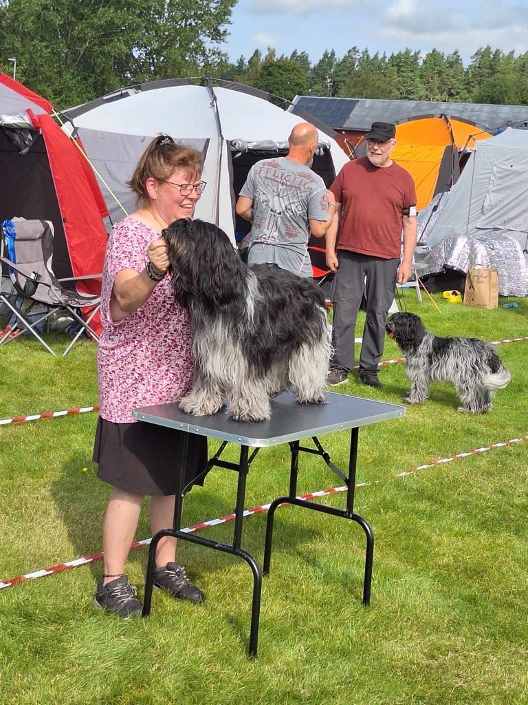 Foto på Annelie Karlsson Karjalainen
