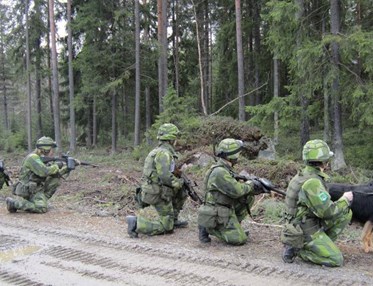 Hundförare och hundar i skogen