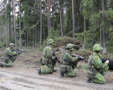 Hundförare och hundar i skogen
