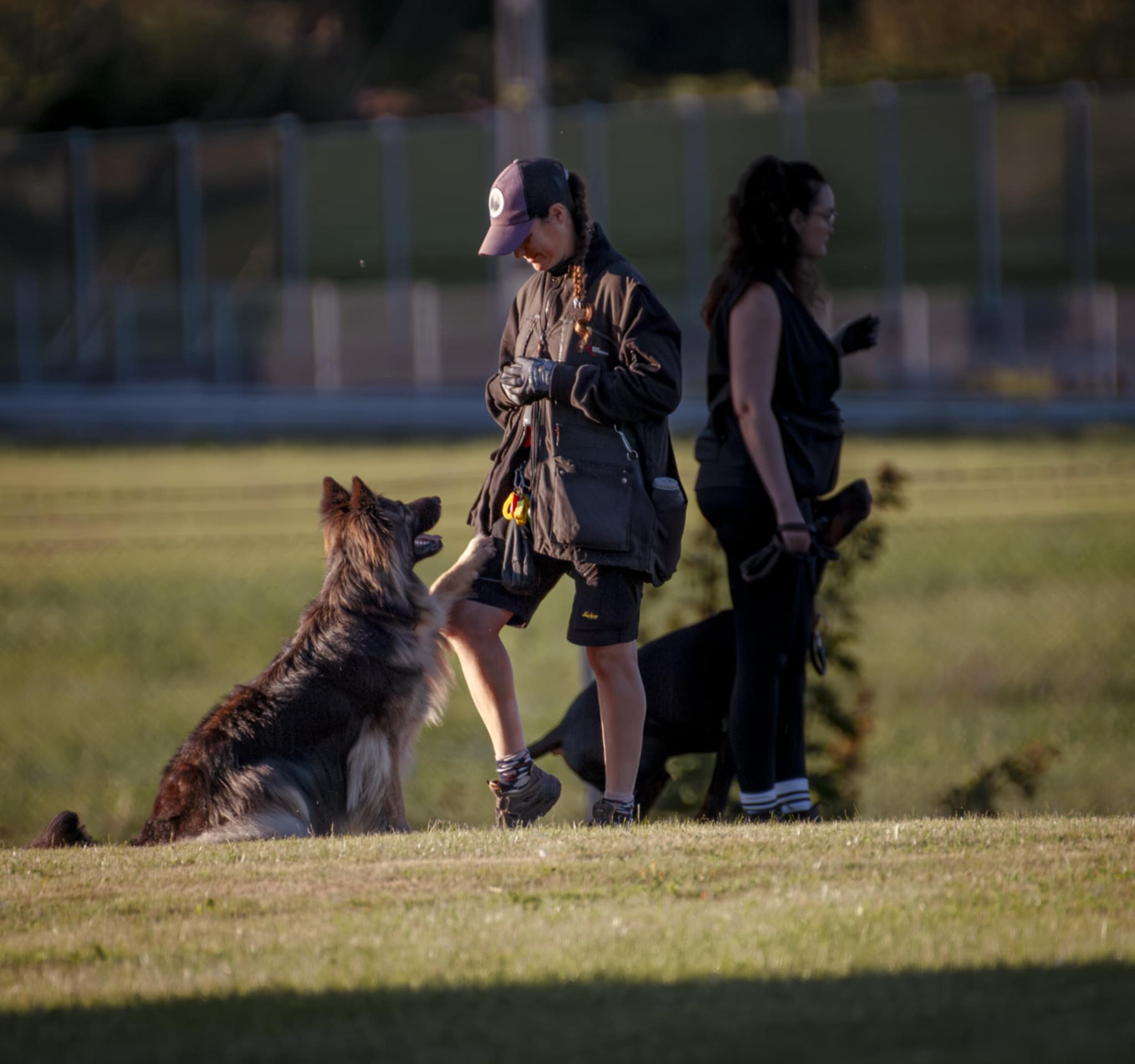 Hundförare tillsammans med hund som tränar på kontakt. 