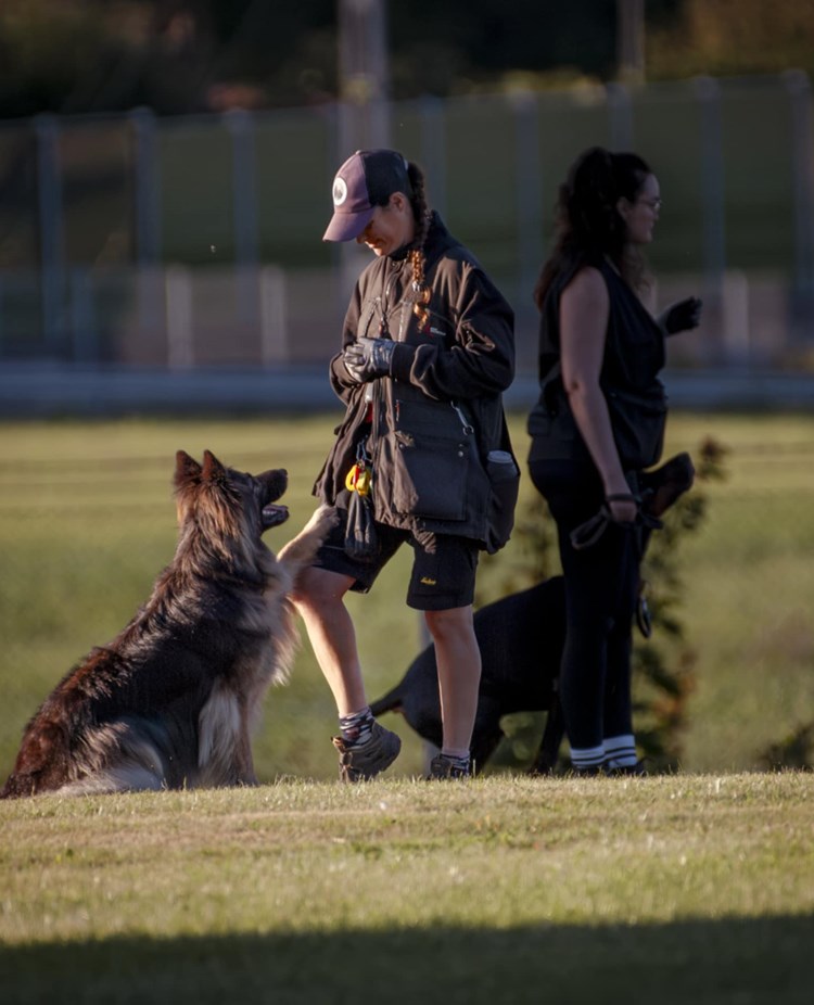 Hundförare tillsammans med hund som tränar på kontakt.