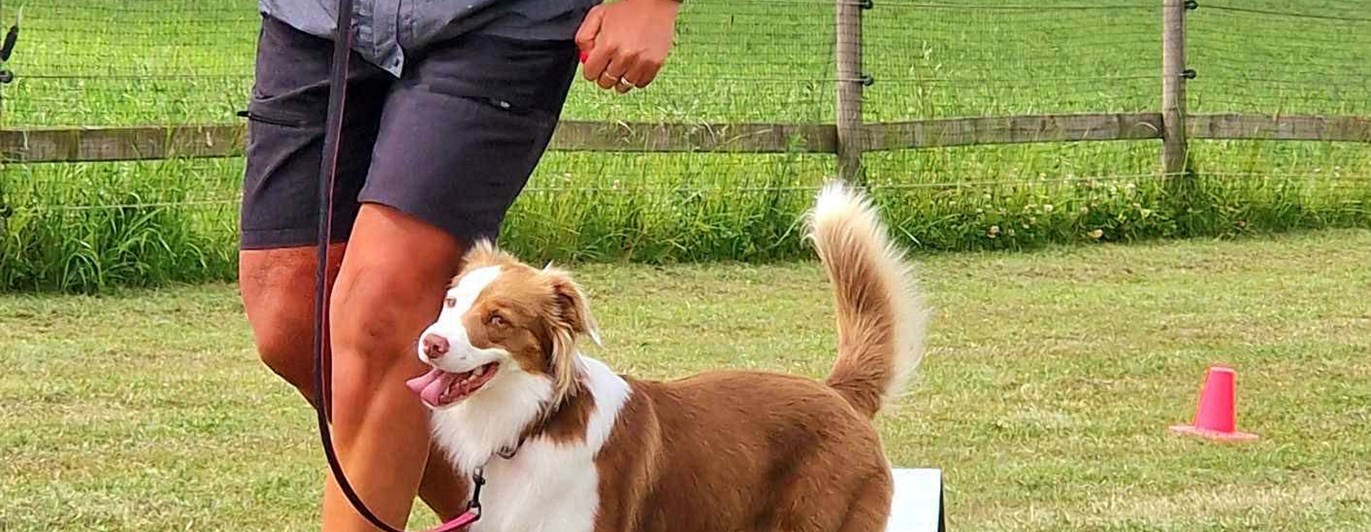 Bild på Maria och hennes hund när de tränar