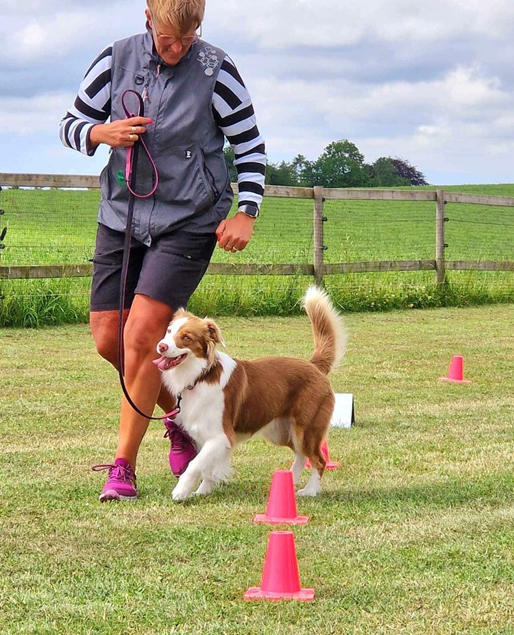Bild på Maria och hennes hund när de tränar
