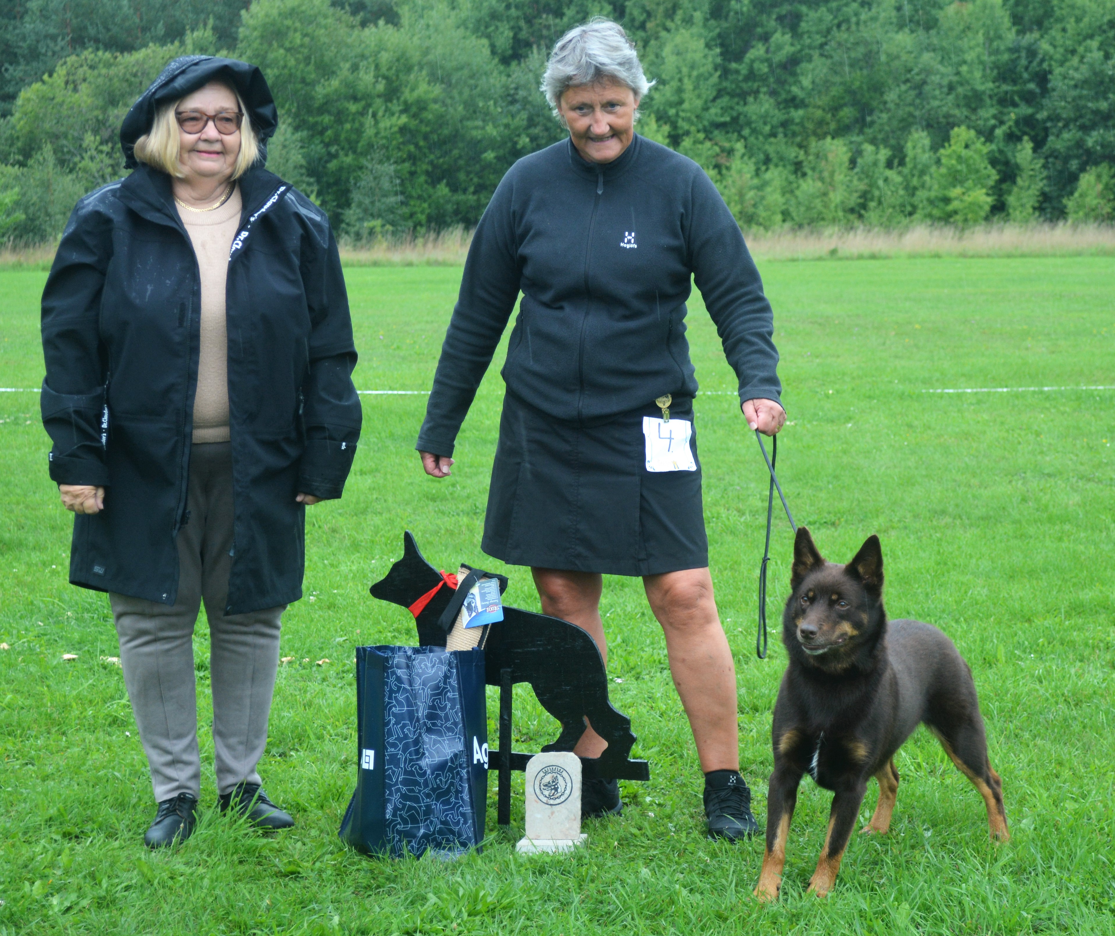 Gotlands Vackraste Bruksmeriterade Hund
SE UCH SPH1 Miss Magoo´s Enya af Stenkulla, Australian Kelpie,  Äg: Marianne Nordlander


