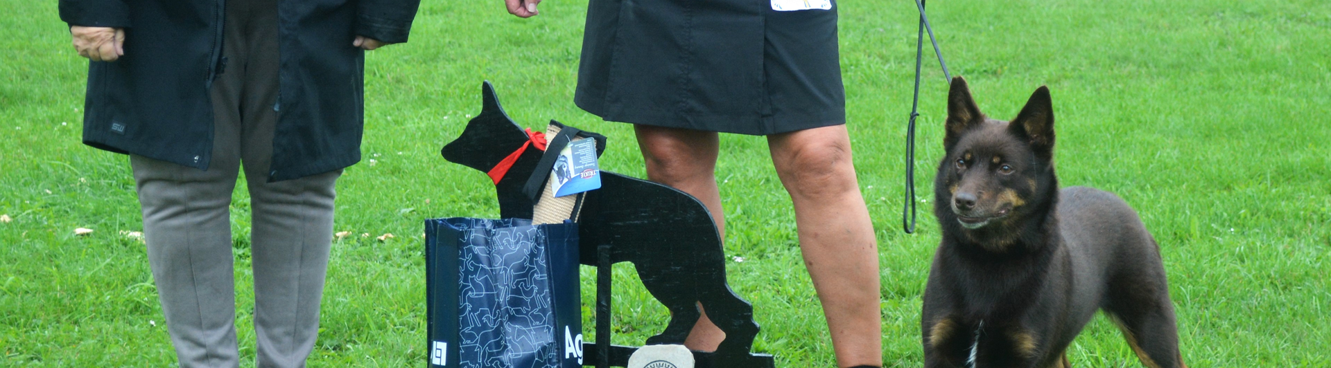 Gotlands Vackraste Bruksmeriterade Hund
SE UCH SPH1 Miss Magoo´s Enya af Stenkulla, Australian Kelpie, Äg: Marianne Nordlander