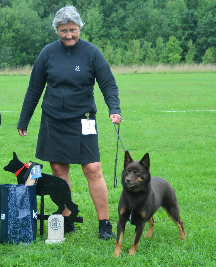 Gotlands Vackraste Bruksmeriterade Hund
SE UCH SPH1 Miss Magoo´s Enya af Stenkulla, Australian Kelpie, Äg: Marianne Nordlander