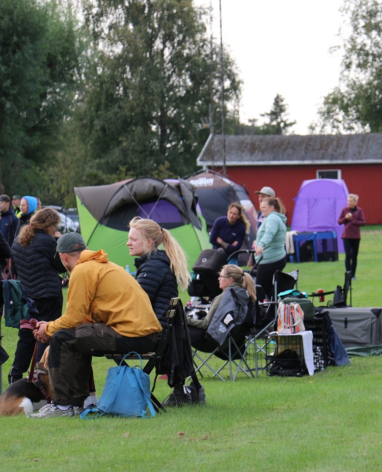 Publik vid en av våra tävlingar