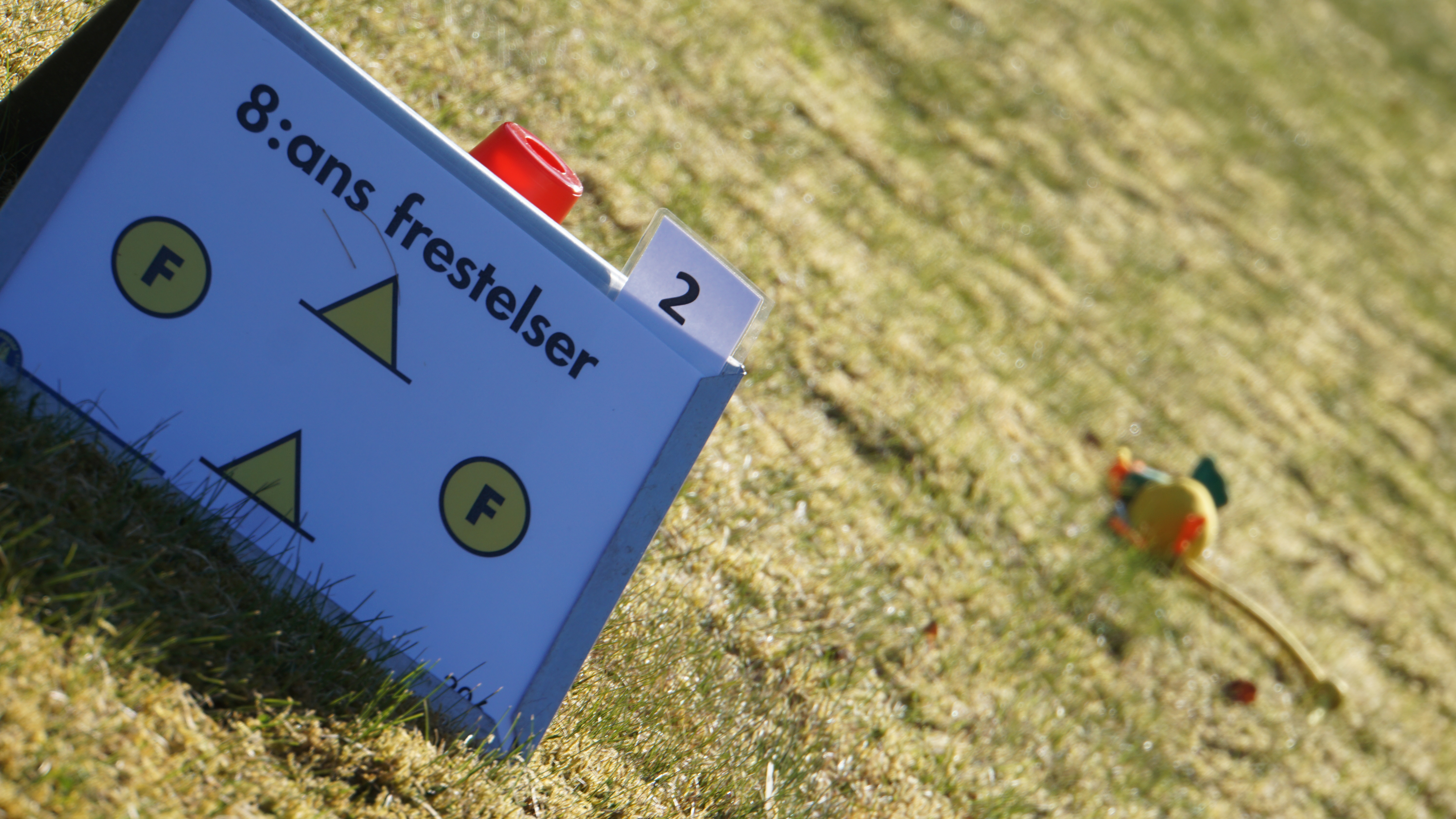 Skylt från rallylydnad, frestelser