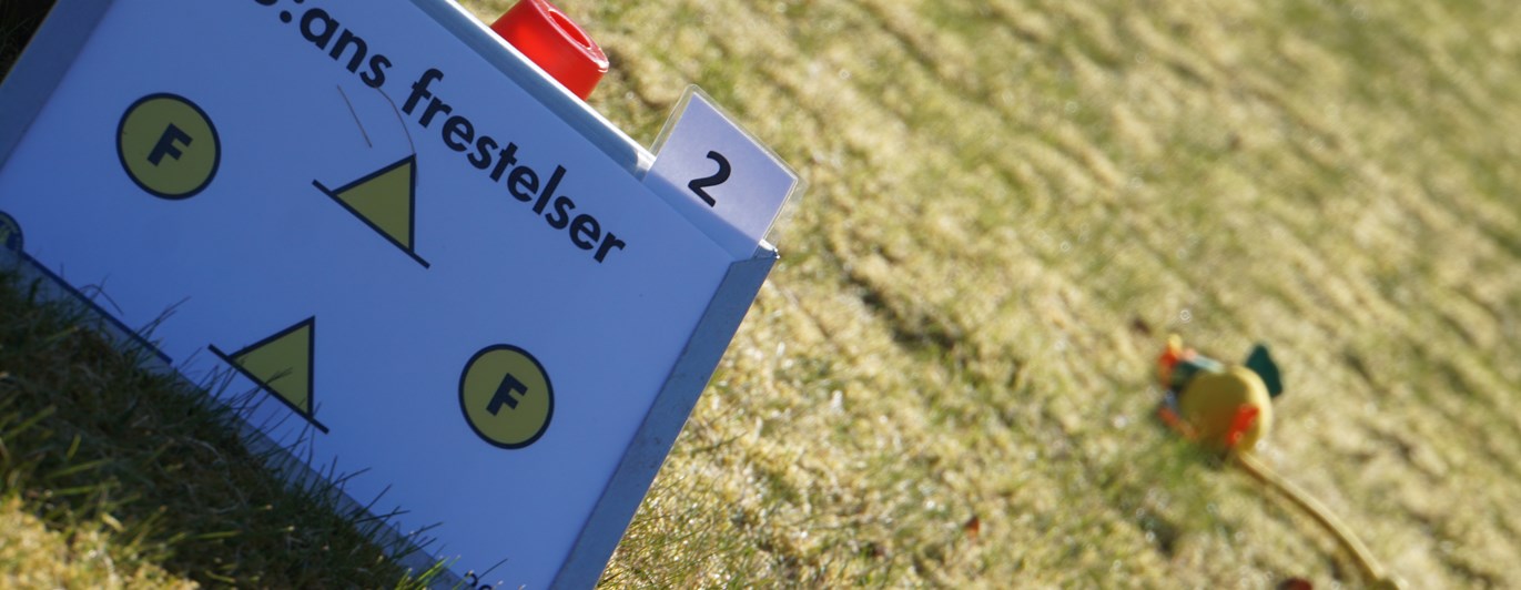 Skylt från rallylydnad, frestelser