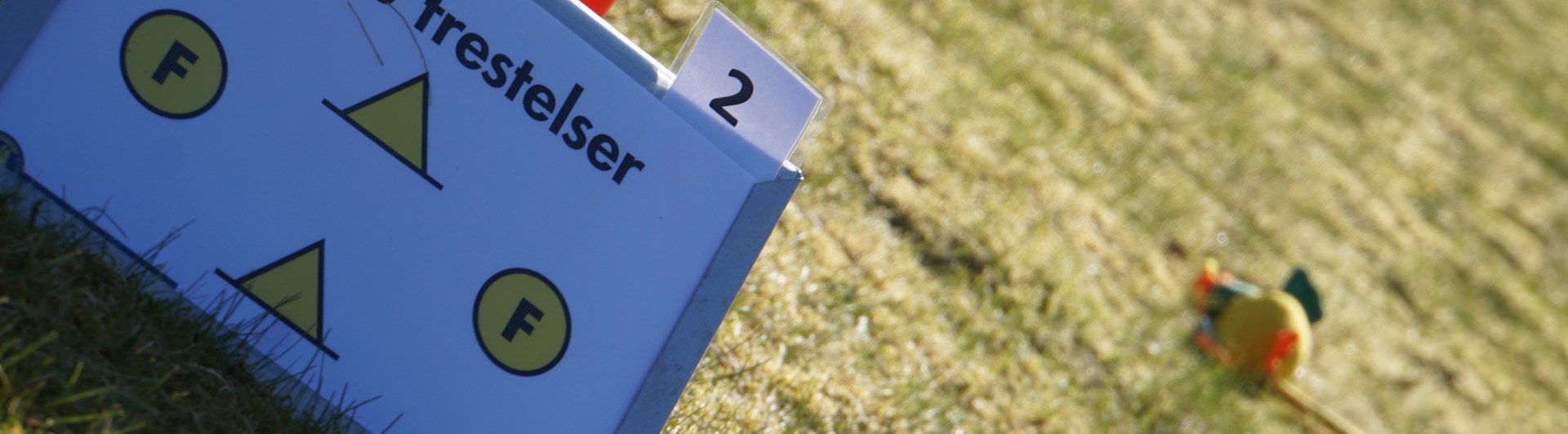 Skylt från rallylydnad, frestelser