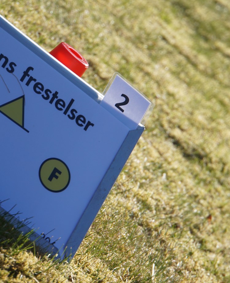 Skylt från rallylydnad, frestelser