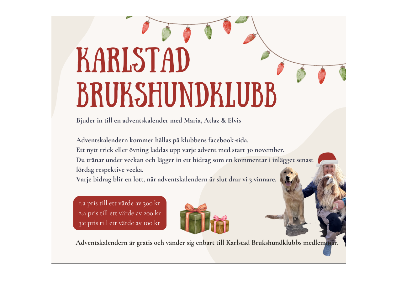 Julkalender