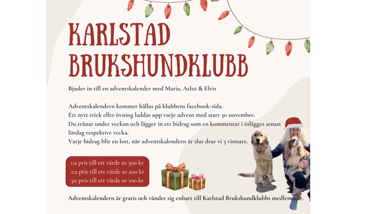 Julkalender