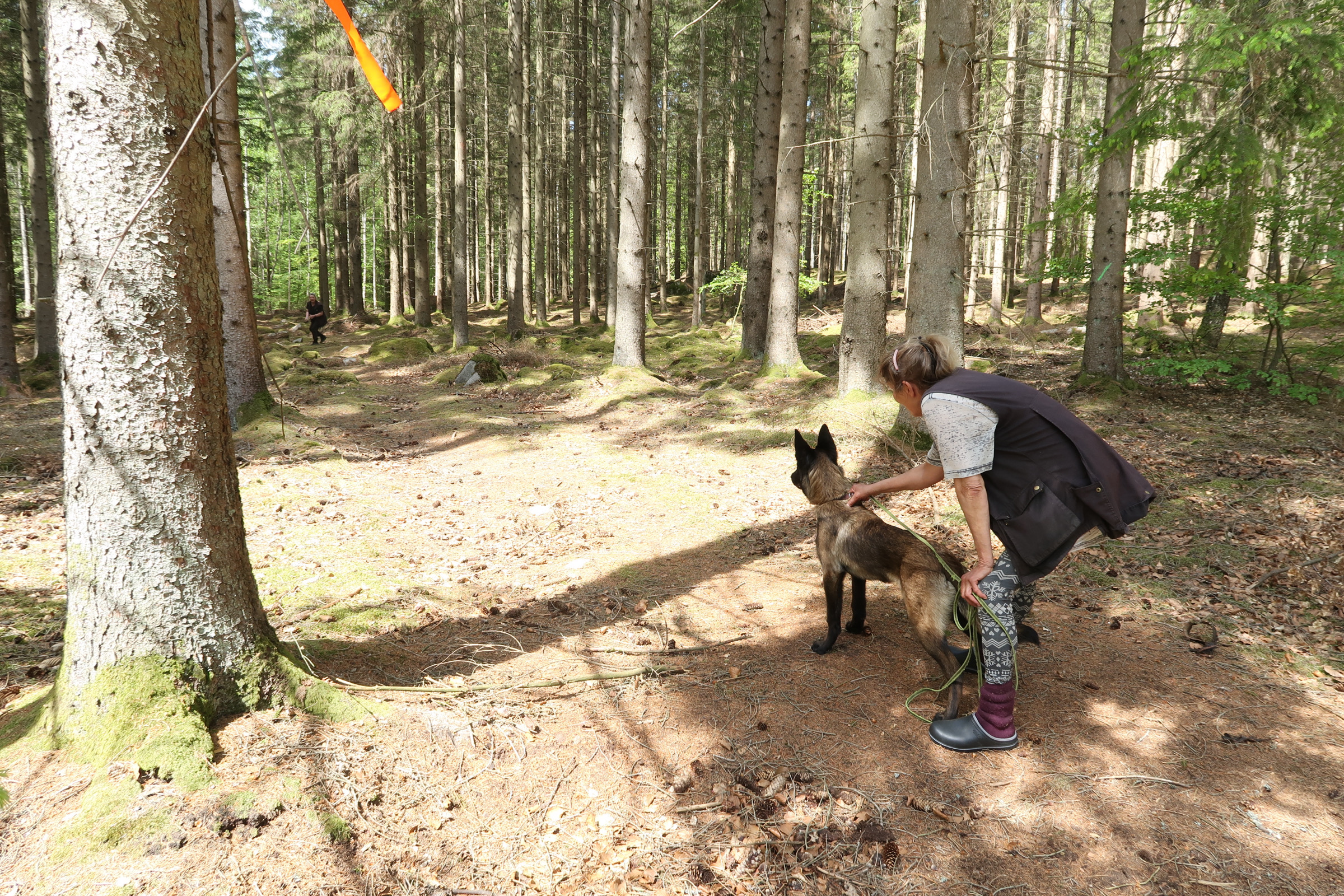 Hund och förare står redo för att träna uppletande. 