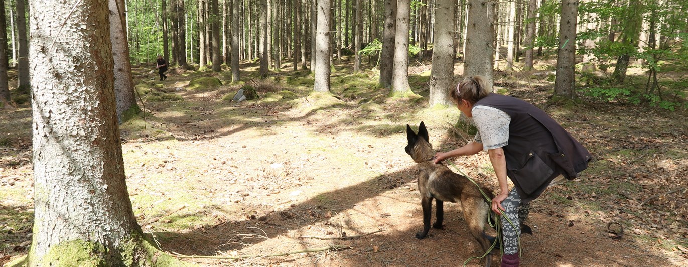 Hund och förare står redo för att träna uppletande.