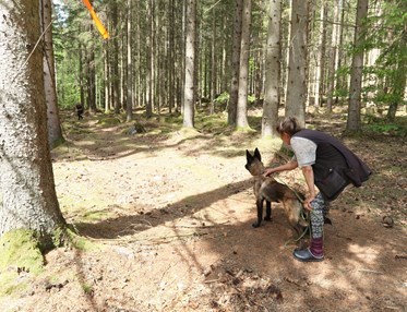 Hund och förare står redo för att träna uppletande.