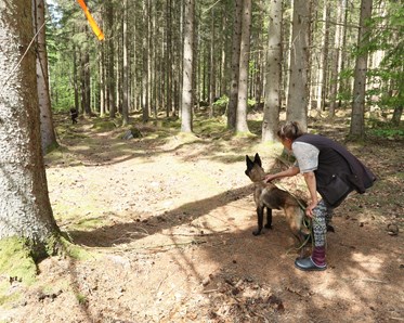 Hund och förare står redo för att träna uppletande.
