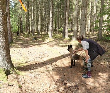 Hund och förare står redo för att träna uppletande.