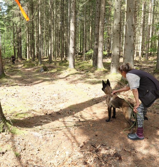 Hund och förare står redo för att träna uppletande.