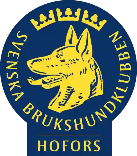 Hofors BK logo