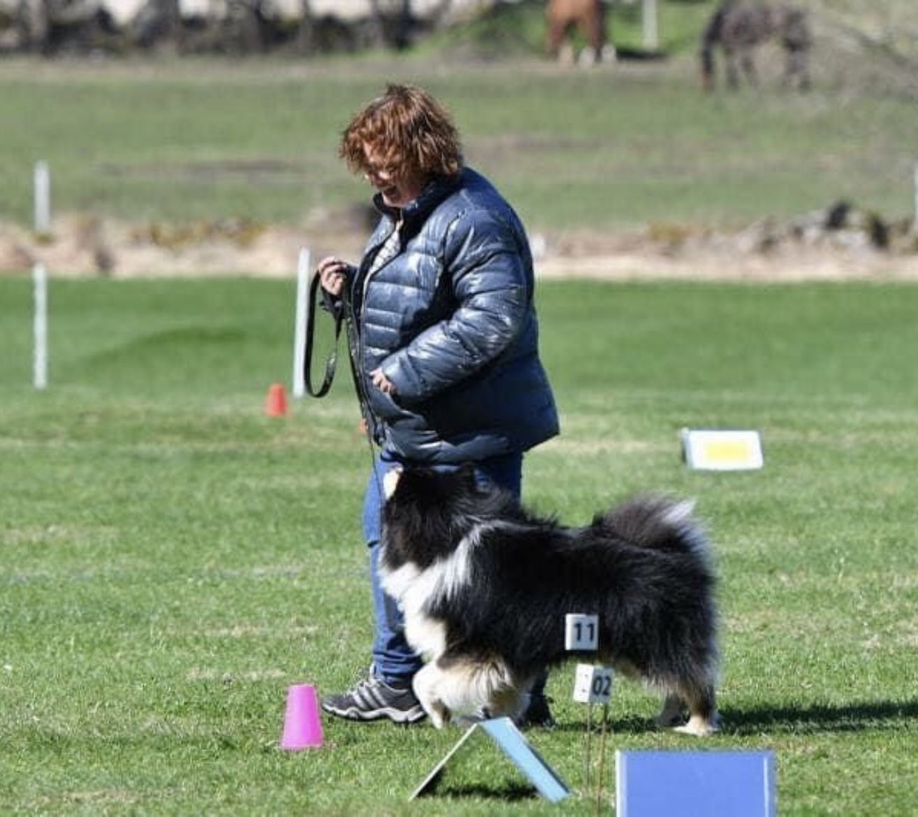 Hund och förare i rallybana