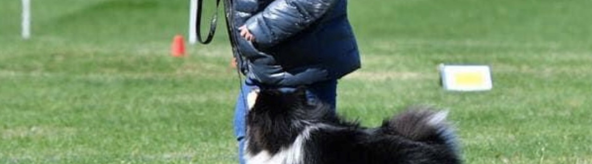 Hund och förare i rallybana