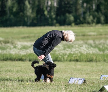 Mona Nordlander och hennes pudel kille Zebbe tränar Rallylydnad.