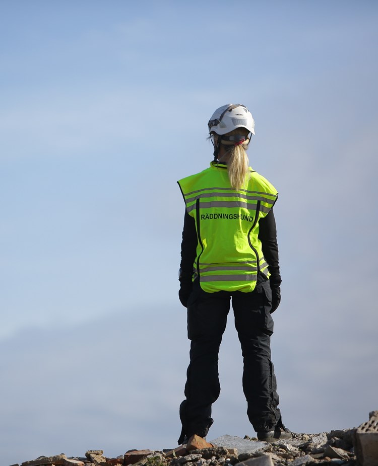 Fotograf: Christian Björses