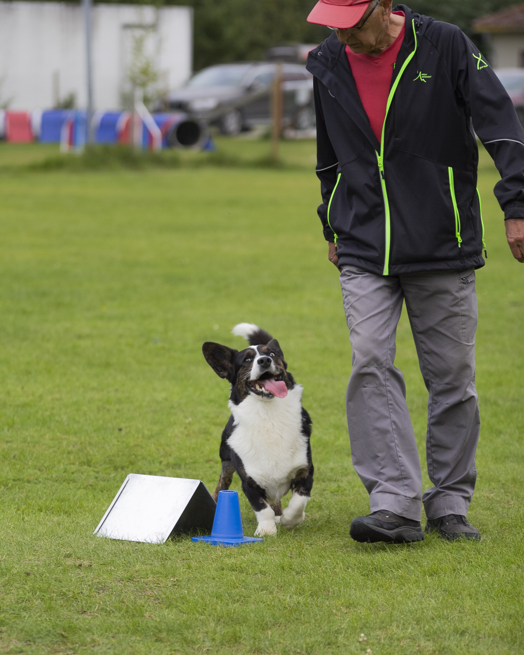 Rallylydnad Nedansiljans brukshundsklubb