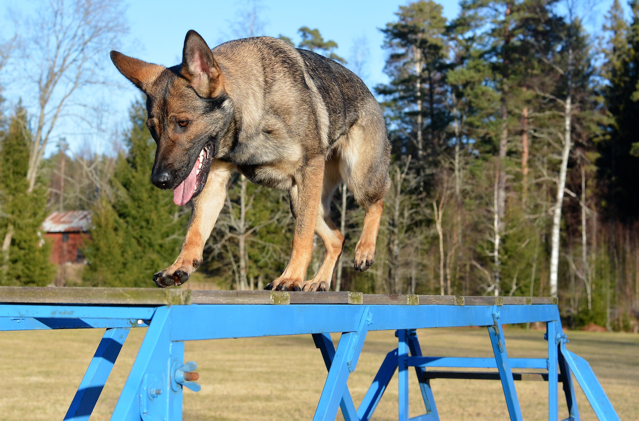 Ing-Marie Andersson (1)